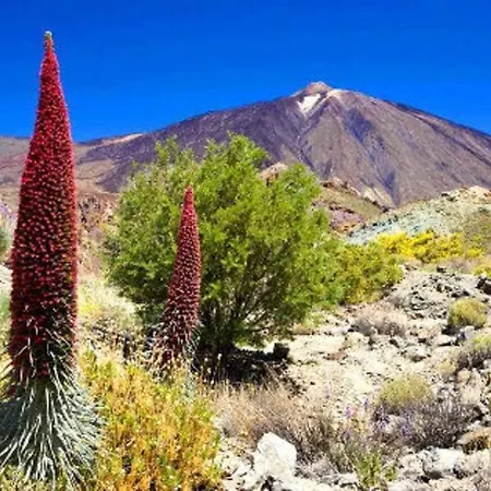 Privado, Piscina, Wifi Al Mejor Precio 別荘 San Juan de la Rambla