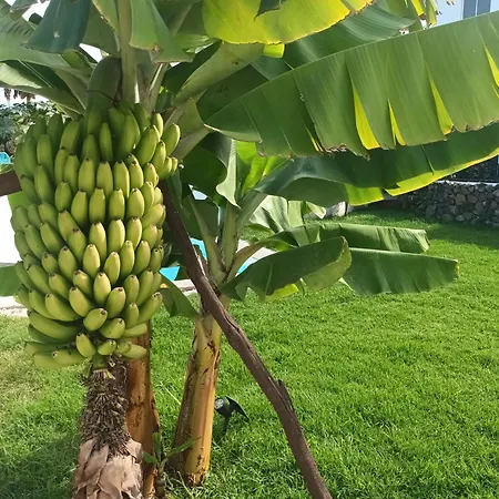 別荘 Privado, Piscina, Wifi Al Mejor Precio *