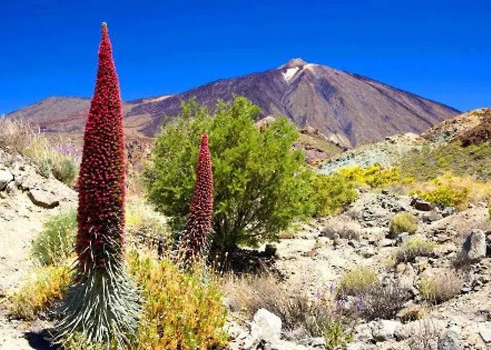 Privado, Piscina, Wifi Al Mejor Precio Сasa de vacaciones San Juan de la Rambla