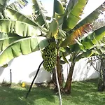 Privado, Piscina, Wifi Al Mejor Precio Vakantiehuis *
