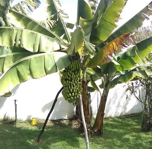 Privado, Piscina, Wifi Al Mejor Precio Semesterbostad *